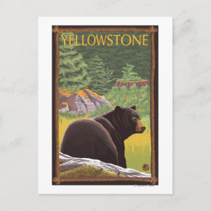 Schwarzer Bär im Wald - Yellowstone Nationalpark Postkarte