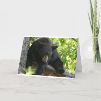 schwarzer Bär Karte