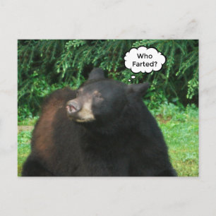 Schwarzer Bär - "Kubby, der gefallen hat?" Postkarte
