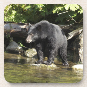 Schwarzer Bär "Lachs Spotting" Wildlife Untersetzer
