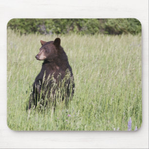 Schwarzer Bär Mousepad