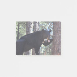 Schwarzer Bär Post-it Klebezettel