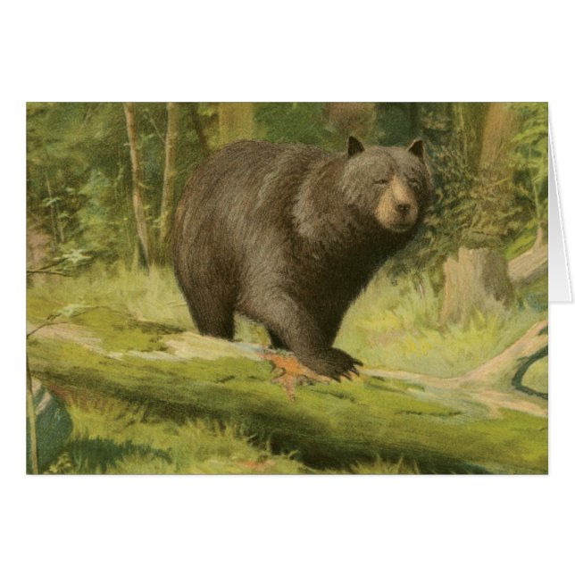 Schwarzer Bär Stepping auf einem Baumstamm (Vorderseite (Horizontal))