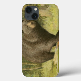 Schwarzer Bär Stepping auf einem Baumstamm Case-Mate iPhone Hülle