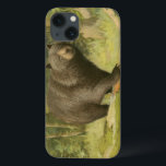Schwarzer Bär Stepping auf einem Baumstamm Case-Mate iPhone Hülle<br><div class="desc">Dieser Kunstdruck von Oliver Kemp illustriert einen braunen Bären, der auf einen gefallenen Baum in einem Wald tritt. Die pastellgrünen Farben beruhigen das Auge und schaffen im Frühling ein angenehmes Gefühl der erwachenden Natur. Eine großartige Ergänzung zu jeder rustikalen Wohngestaltung!</div>