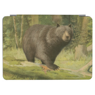 Schwarzer Bär Stepping auf einem Baumstamm iPad Air Hülle