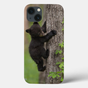 Schwarzer Bärenjunge klettert auf einen Baum Case-Mate iPhone Hülle