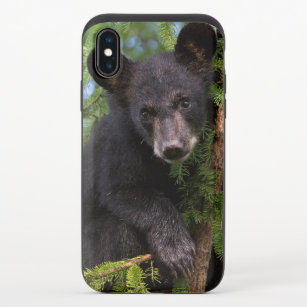 Schwarzer Bärenkuppel in Bäumen iPhone X Slider Hülle