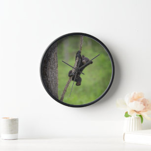 Schwarzer Bärenkuppel spielt auf Baumlippe Uhr