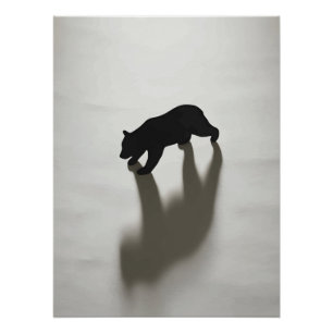 Schwarzer Bärenschatten in weißer Wildnis Poster