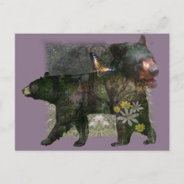 Schwarzer Bärenwald im Inneren Postkarte