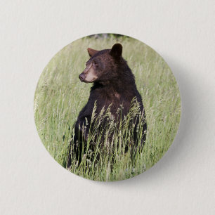 Schwarzer Bärn-Knopf Button