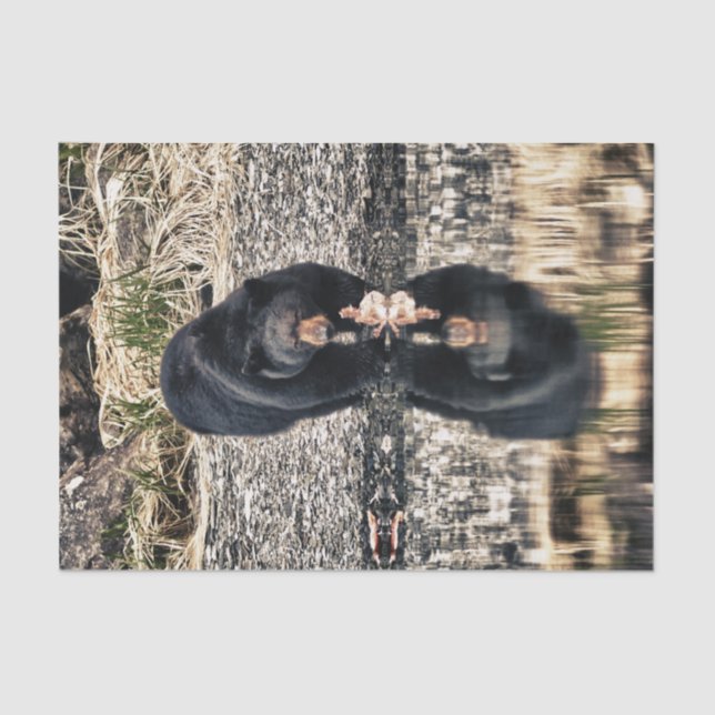 Schwarzer Bärn-Reflexionen Seidenpapier (Vorderseite)