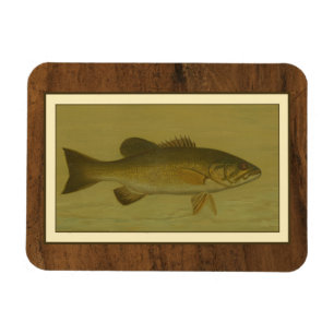 Schwarzer Baß auf einem grünen Hintergrund Magnet