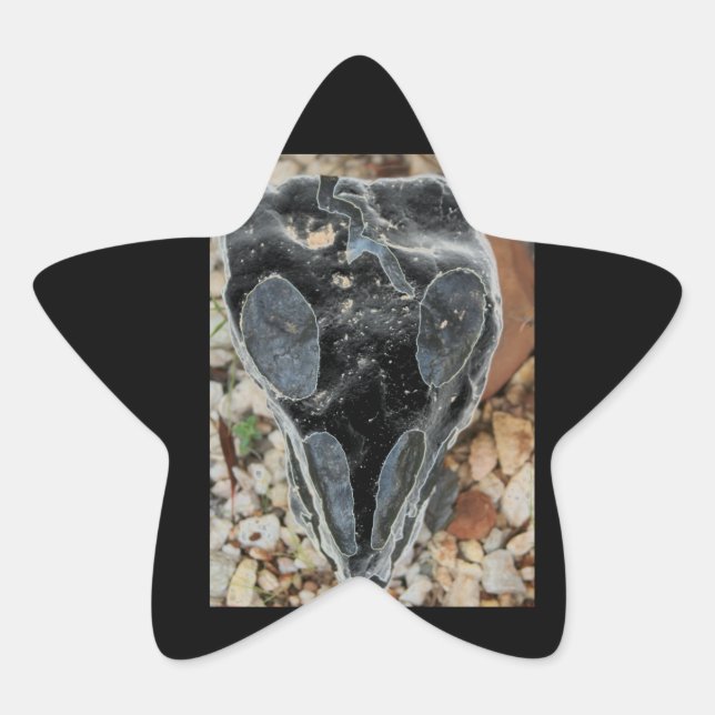 schwarzer bemaler Schädel Stern-Aufkleber (Vorderseite)