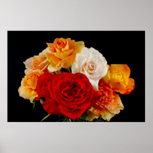Schwarzer Bouquet der Rose Poster