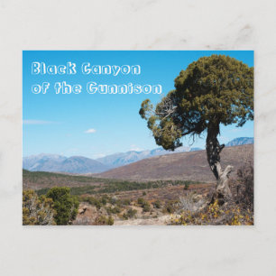 Schwarzer Canyon des Gunnison-Nationalparks Postkarte