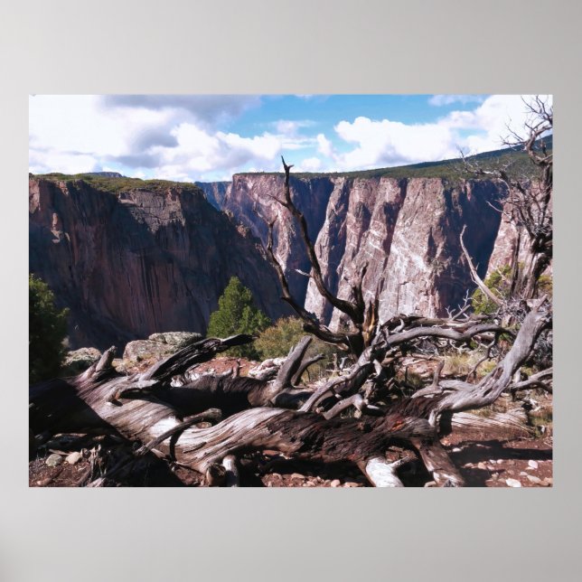 Schwarzer Canyon des Gunnison Poster (Vorne)