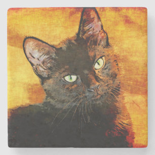 SCHWARZER CAT-OLIVE STEINUNTERSETZER