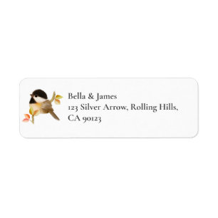 Schwarzer Chickadee Bird