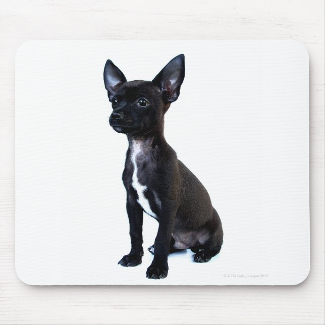 Schwarzer Chihuahua-Welpe Mousepad (Vorne)