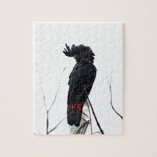 SCHWARZER COCKATOO QUEENSLAND AUSTRALIEN PUZZLE