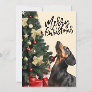Schwarzer Dachshund schaut zum Weihnachtsbaum Xmas Feiertagskarte