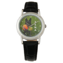 Schwarzer Deutscher Hirte und Namensänderung für I