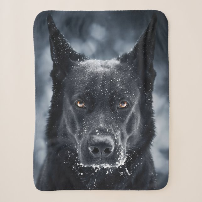 Schwarzer Deutscher Schäferhund Sherpadecke (Vorderseite)