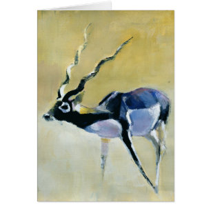 Schwarzer Dollar Velavadar 1997