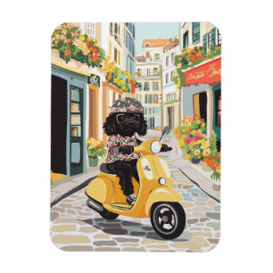 Schwarzer Doodle fährt mit Roller durch europäisch Magnet
