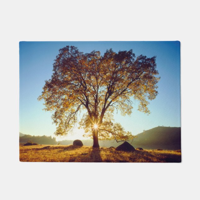 Schwarzer Eichenbaum| Cleveland National Forest, C Fußmatte (Vorderseite)