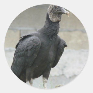 Schwarzer Geier auf dem Hügel Runder Aufkleber