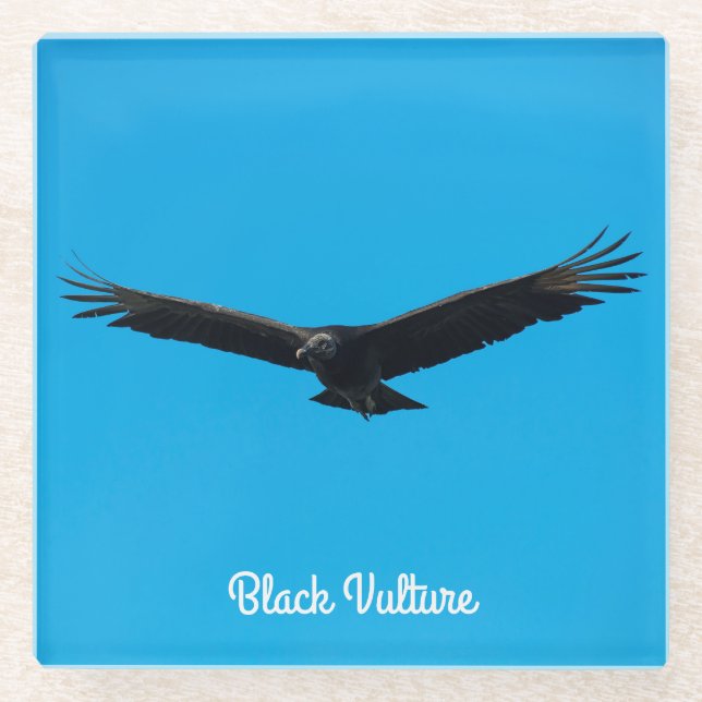 Schwarzer Geier Glasuntersetzer (Vorderseite)