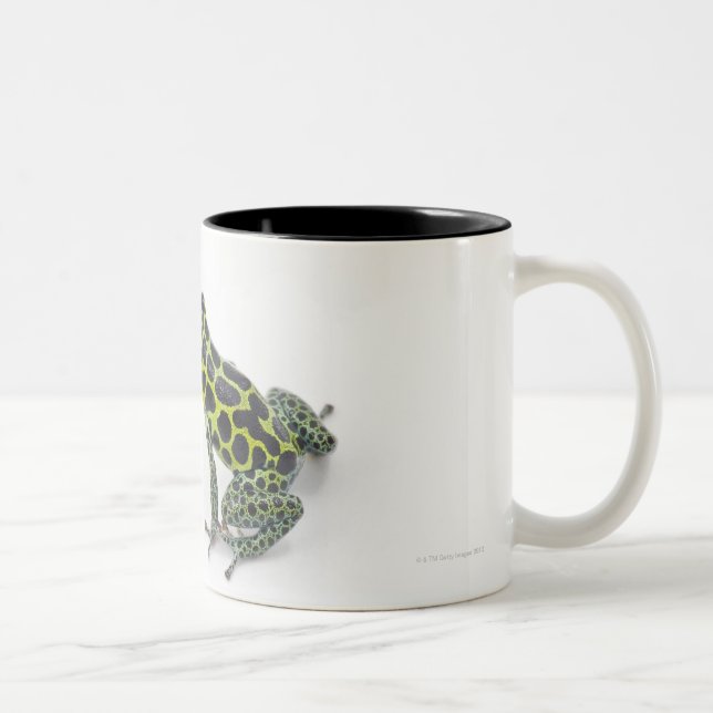 Schwarzer gepunkteter grüner Gift-Pfeil-Frosch Zweifarbige Tasse (Rechts)