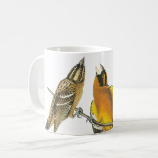 Schwarzer Grosbeak von Audubon Kaffeetasse