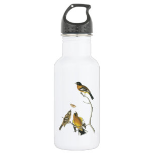 Schwarzer Grosbeak von Audubon Trinkflasche