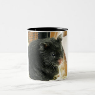 Schwarzer Hamster Zweifarbige Tasse