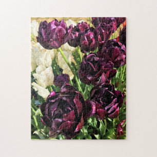 Schwarzer Held Tulips, Oregon Puzzle