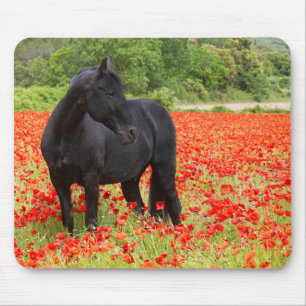 Schwarzer Hengst und Mohnmäuse-Pad Mousepad