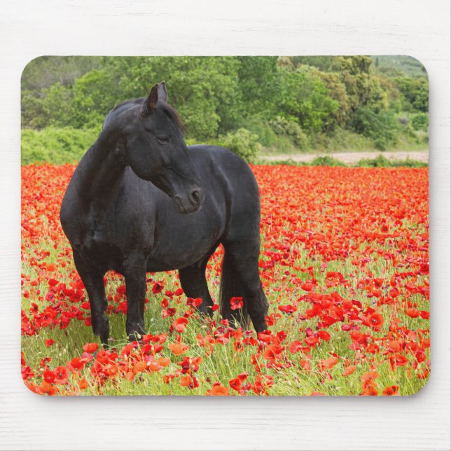 Schwarzer Hengst und Mohnmäuse-Pad Mousepad (Vorne)