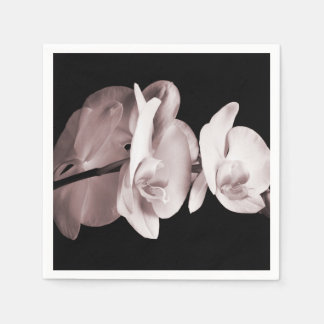 Schwarzer Hintergrund der weißen Orchideen-Blume A Serviette