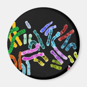 Schwarzer Hintergrund des Chromosoms Magnet