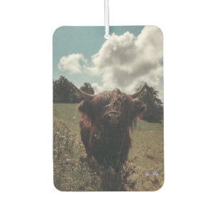 Schwarzer Hochland Schottische Kuh Weiden Vintag R Autolufterfrischer