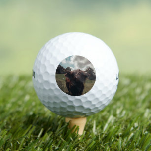 Schwarzer Hochland Schottische Kuh Weiden Vintag R Golfball