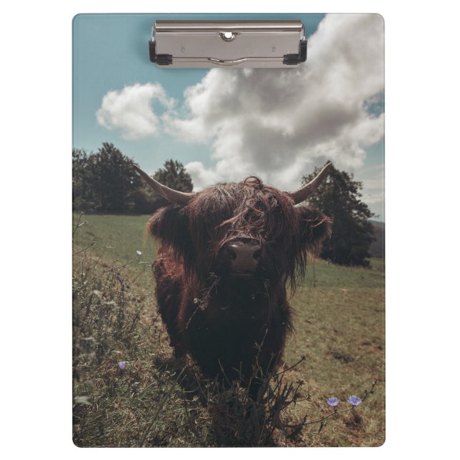 Schwarzer Hochland Schottische Kuh Weiden Vintag R Klemmbrett (Vorderseite)