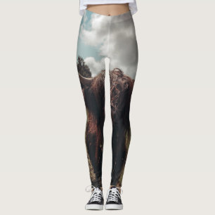 Schwarzer Hochland Schottische Kuh Weiden Vintag R Leggings