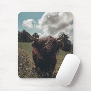 Schwarzer Hochland Schottische Kuh Weiden Vintag R Mousepad