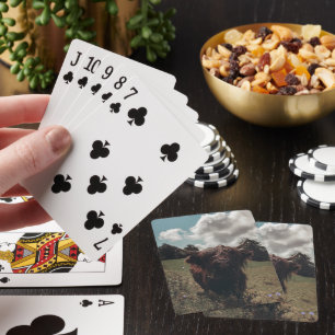 Schwarzer Hochland Schottische Kuh Weiden Vintag R Spielkarten