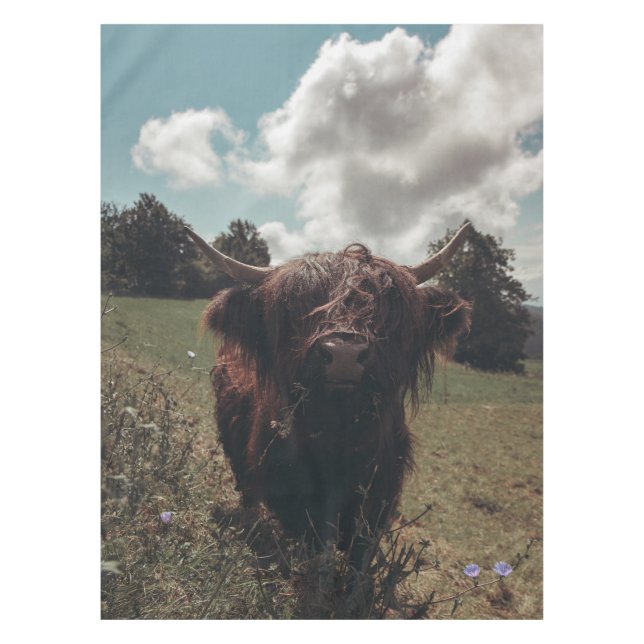 Schwarzer Hochland Schottische Kuh Weiden Vintag R Tischdecke (Vorderseite)